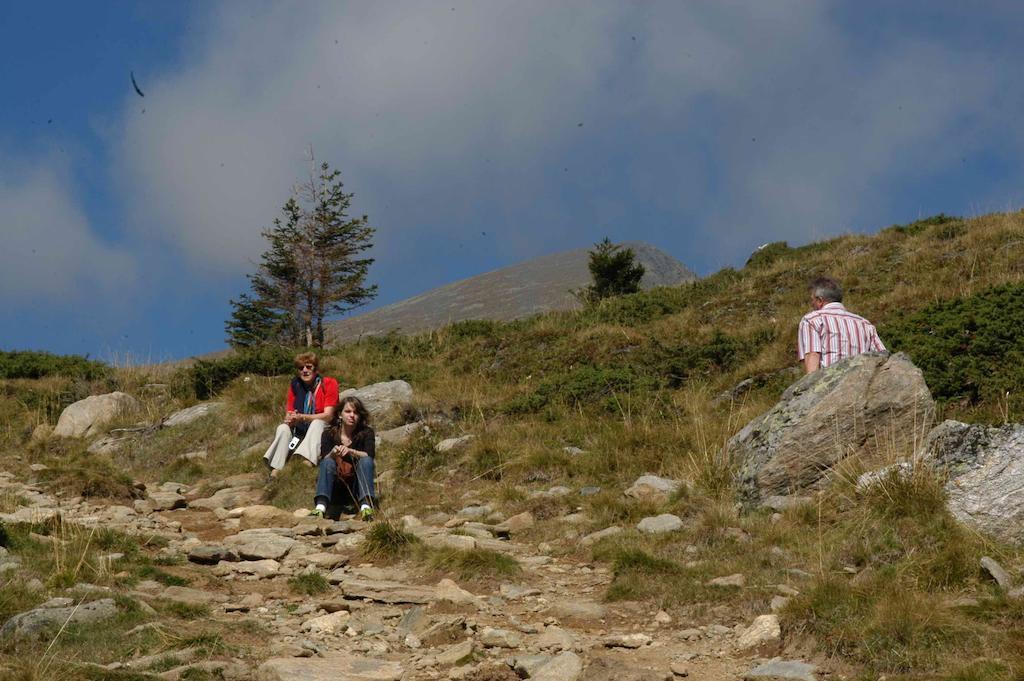 Gasthof Trattner Pension Waldhof Sankt Peter am Kammersberg Buitenkant foto